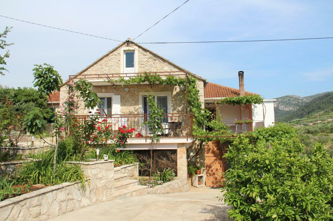 Apartmani Ivankovic Vrisnik 外观 照片